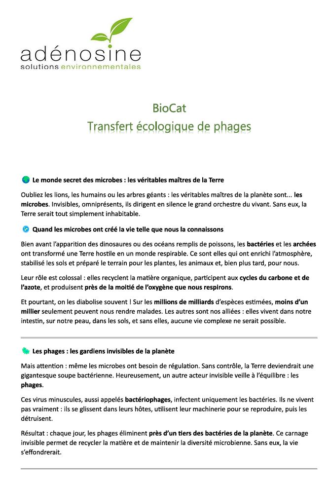 Transfert écologique des Phages 